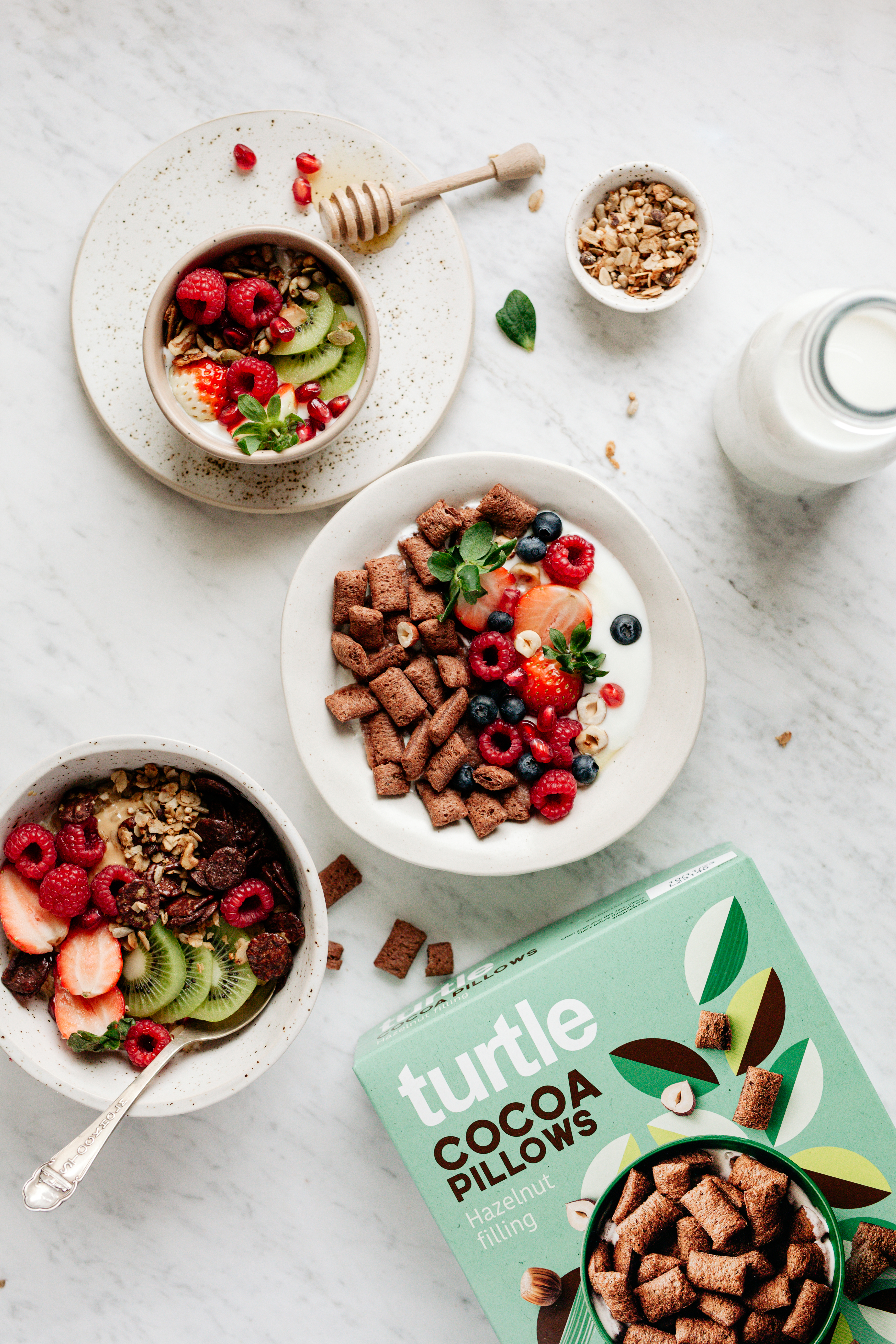 Turtle - Better Breakfast!